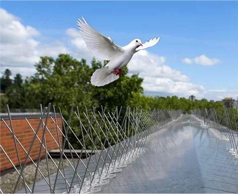 Roestvrijstalen vogelspikes