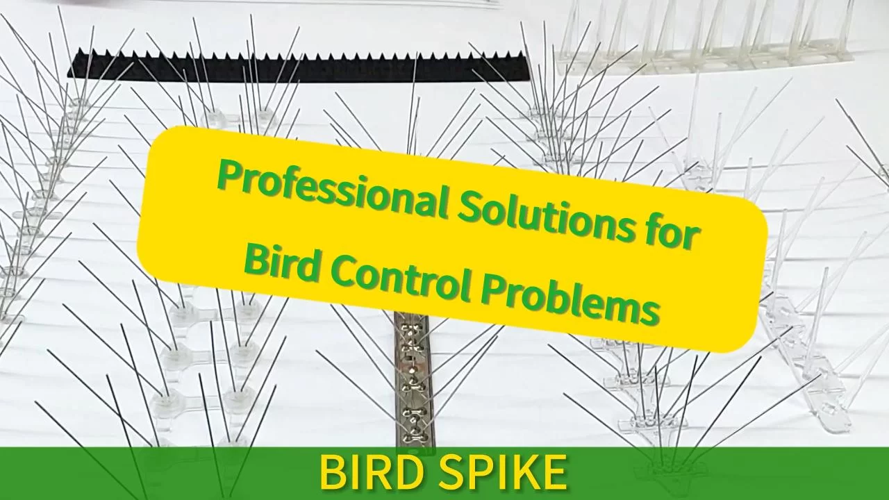 De fabrikant groothandel alle soorten vogels-spikes-choose de juiste spikes om vogels voorgoed weg te houden