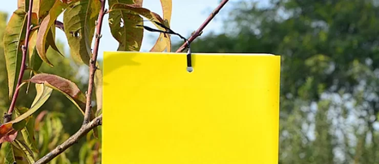 Landbouw en landbouw